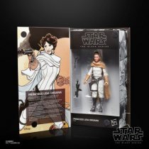 HASF5587 Princess Leia Organa - Black Series - Infinities - Star Wars